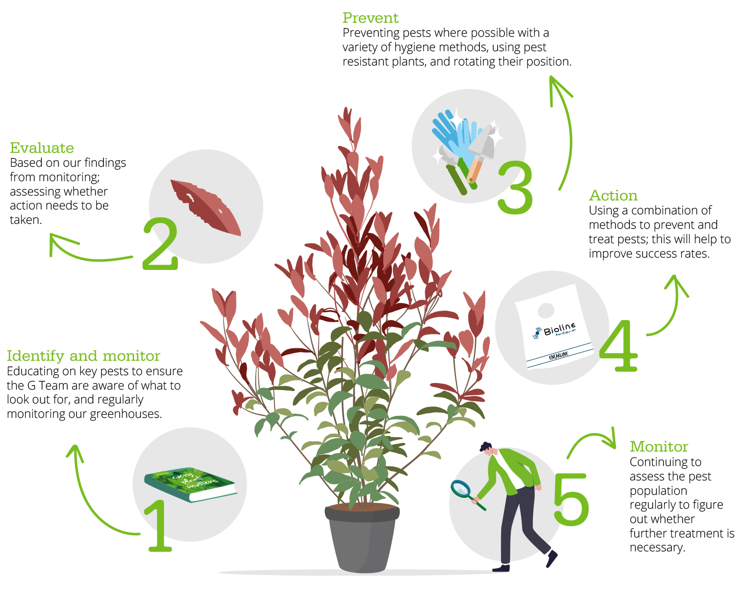 biological pests control infographic